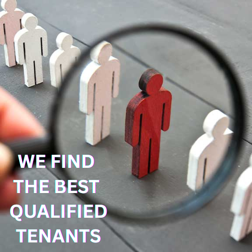 Barbara Bouvier landlord representation